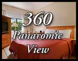 360view